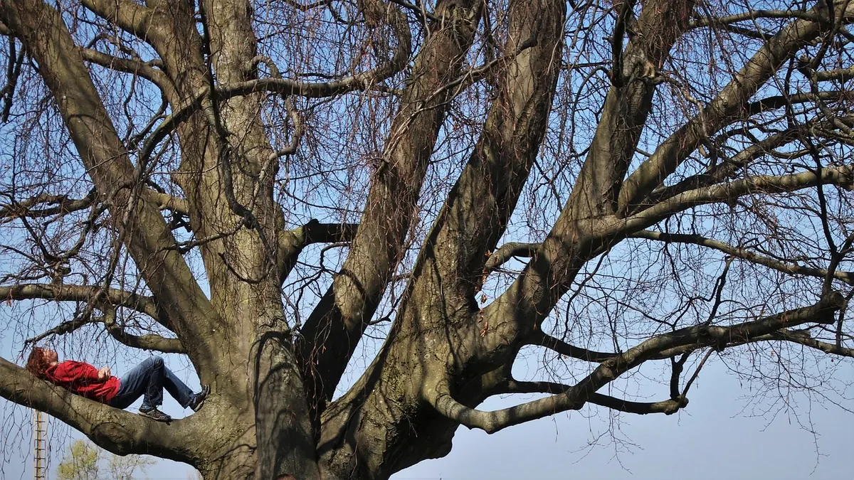 Writing Seasonal Lyrics: How to Capture Winter, Spring, Summer and Autumn in Song